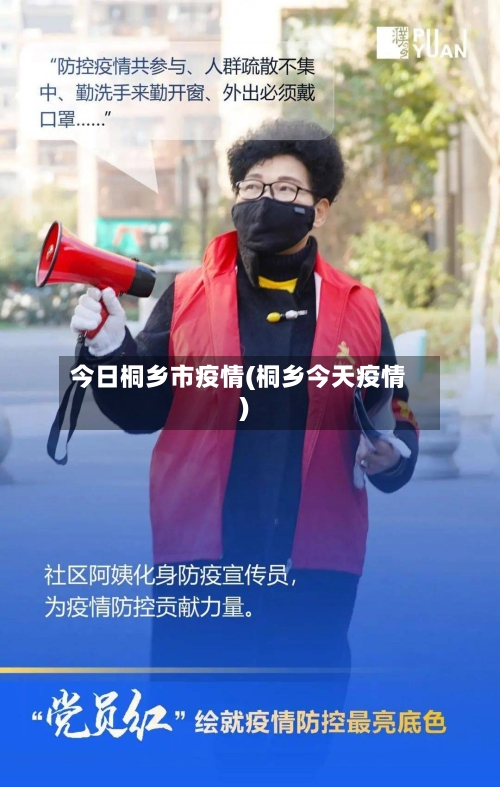 今日桐乡市疫情(桐乡今天疫情)-第2张图片