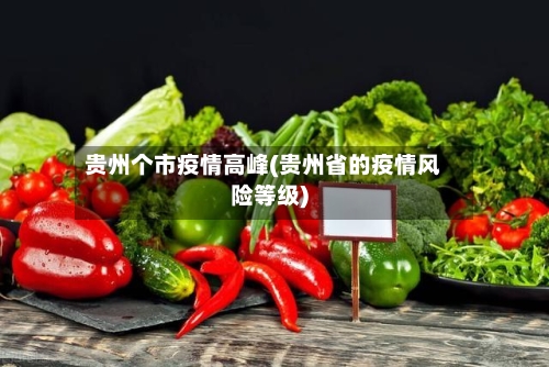 贵州个市疫情高峰(贵州省的疫情风险等级)-第1张图片