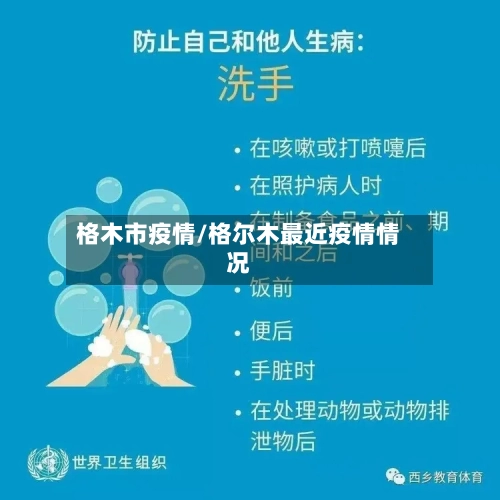 格木市疫情/格尔木最近疫情情况-第2张图片