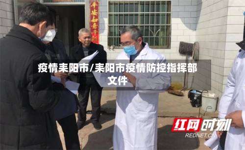 疫情耒阳市/耒阳市疫情防控指挥部文件-第3张图片