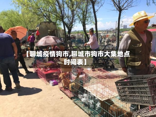【聊城疫情狗市,聊城市狗市大集地点时间表】-第1张图片