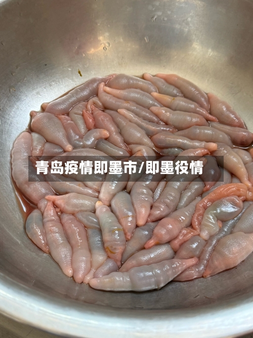 青岛疫情即墨市/即墨役情-第1张图片