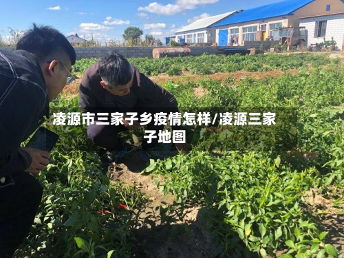 凌源市三家子乡疫情怎样/凌源三家子地图-第1张图片