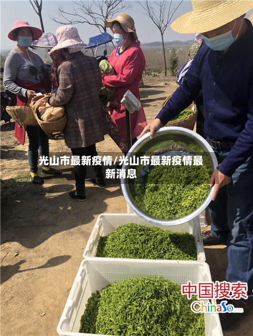 光山市最新疫情/光山市最新疫情最新消息-第2张图片