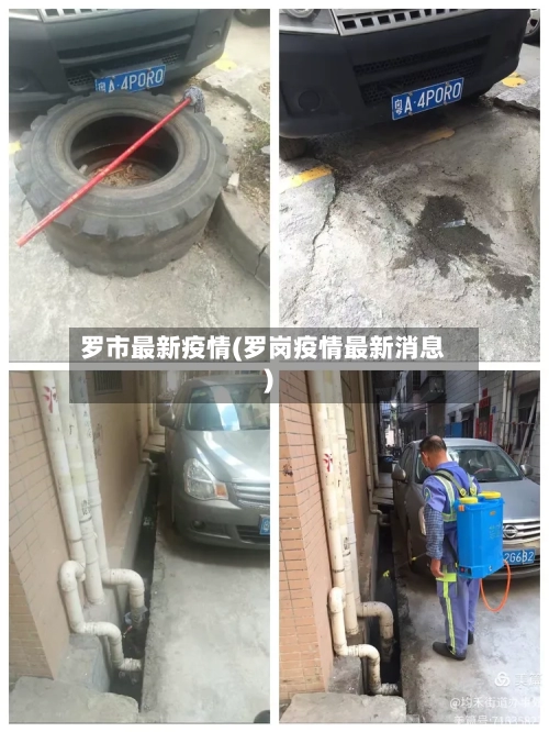 罗市最新疫情(罗岗疫情最新消息)-第2张图片