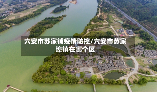 六安市苏家铺疫情防控/六安市苏家埠镇在哪个区-第2张图片