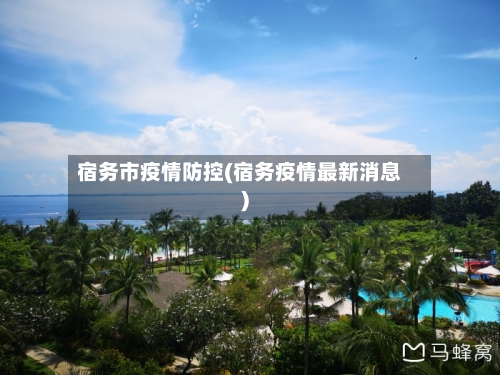宿务市疫情防控(宿务疫情最新消息)-第1张图片
