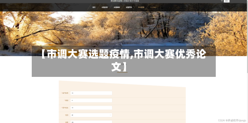 【市调大赛选题疫情,市调大赛优秀论文】-第1张图片