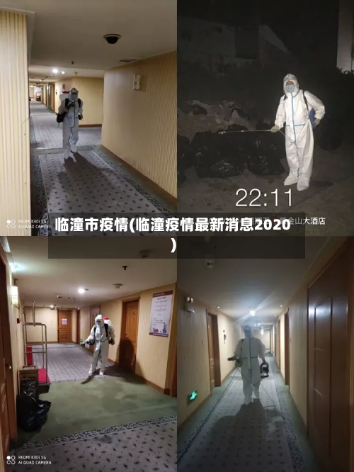 临潼市疫情(临潼疫情最新消息2020)-第1张图片