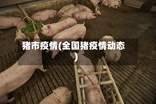 猪市疫情(全国猪疫情动态)-第2张图片