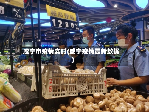 咸宁市疫情实时(咸宁疫情最新数据)-第3张图片