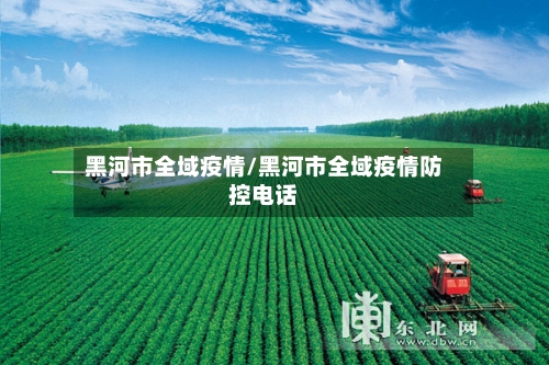 黑河市全域疫情/黑河市全域疫情防控电话-第1张图片