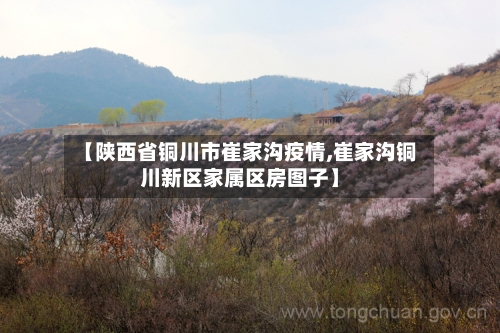 【陕西省铜川市崔家沟疫情,崔家沟铜川新区家属区房图子】-第2张图片