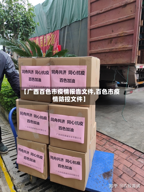 【广西百色市疫情报告文件,百色市疫情防控文件】-第1张图片