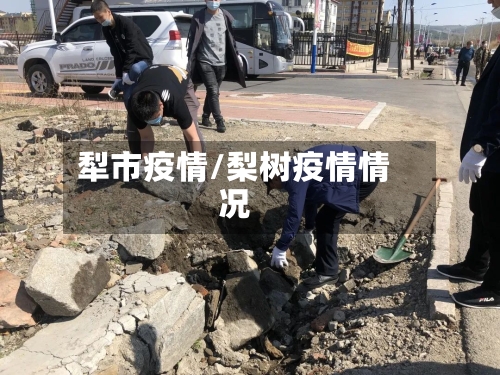 犁市疫情/梨树疫情情况-第2张图片