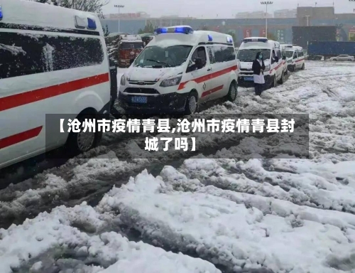 【沧州市疫情青县,沧州市疫情青县封城了吗】-第2张图片
