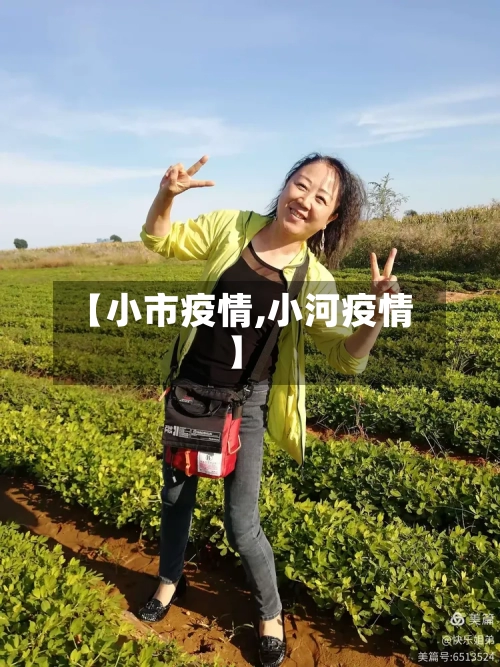 【小市疫情,小河疫情】-第2张图片