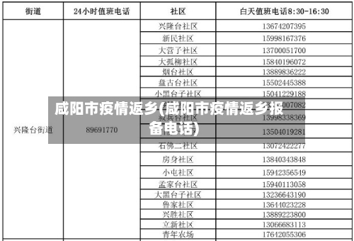 咸阳市疫情返乡(咸阳市疫情返乡报备电话)-第2张图片