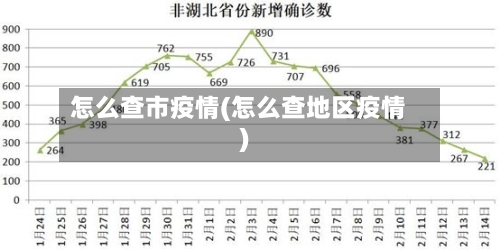 怎么查市疫情(怎么查地区疫情)-第1张图片