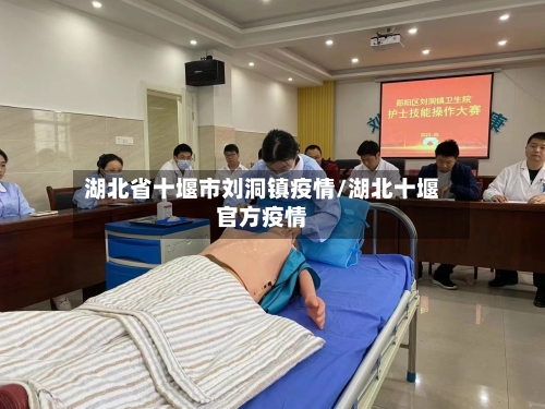 湖北省十堰市刘洞镇疫情/湖北十堰官方疫情-第1张图片