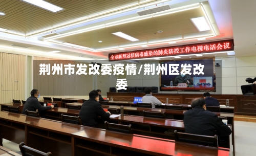 荆州市发改委疫情/荆州区发改委-第2张图片